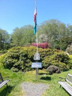 Picture Perfect in Greater Downtown Oysterville
