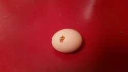 Holey Evidence