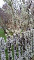 20160211_163101