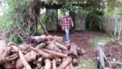 Nyel and the Woodpile