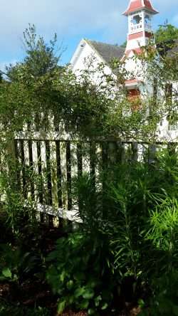 In The South Garden