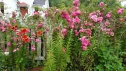 Summer Garden