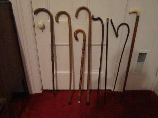 A Collection of Canes
