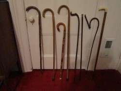 A Collection of Canes