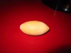 A New Egg Shape
