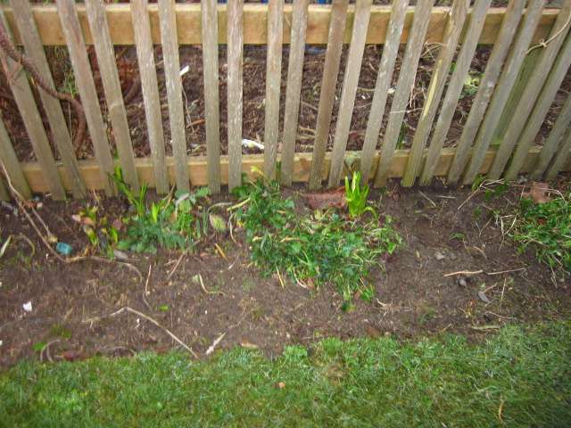 Along the Fence