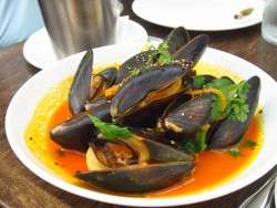 Appetizer