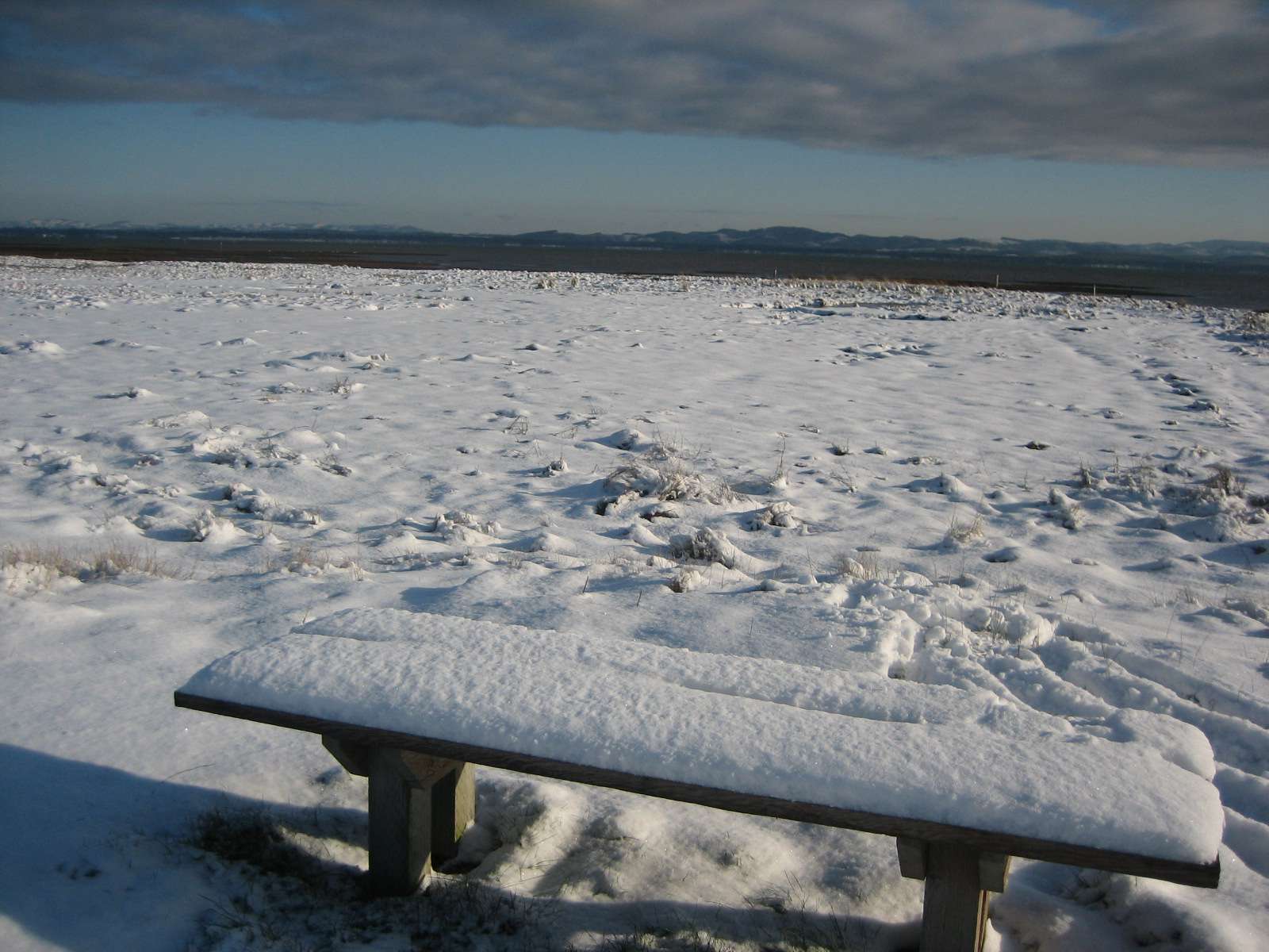 Bay Starting to Freeze