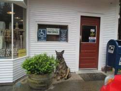 Bhima-the-Greeter