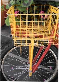 "bike basket" by Dick Hawes
