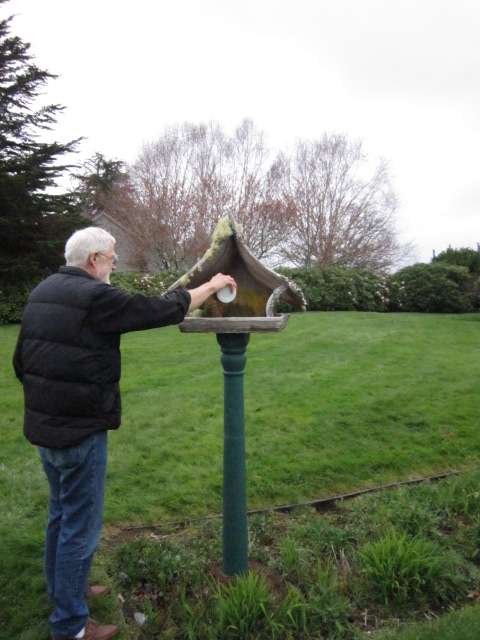 Bird Feeder