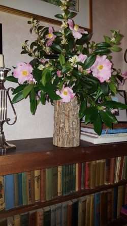 A Flowery February Friday!