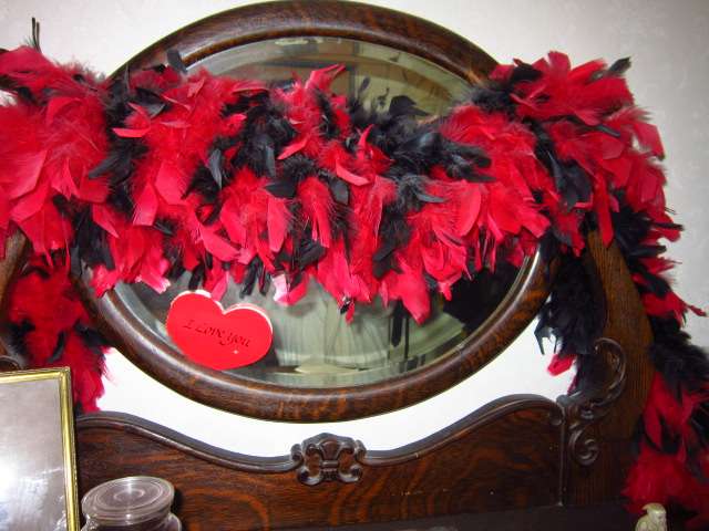 Black and Red Boa