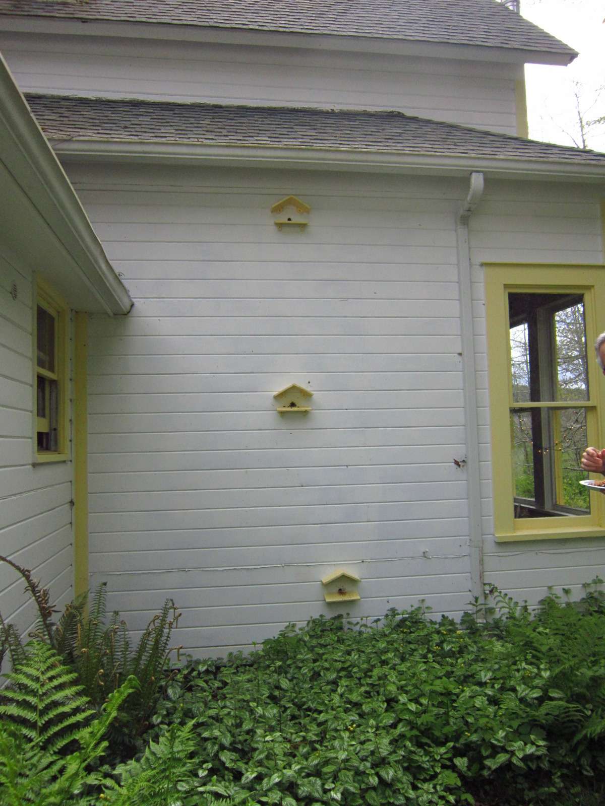 Bob's Bee Wall