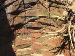 Brick Lining