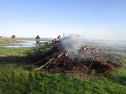 Last Year's Burn Pile