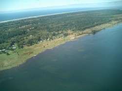 Oysterville