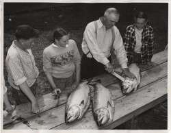 Charles Nelson Shows 4-H Kids the Fine Points of Fish Cleaning c. 1950s