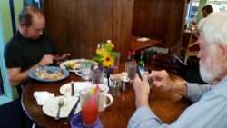 Dinner Companions