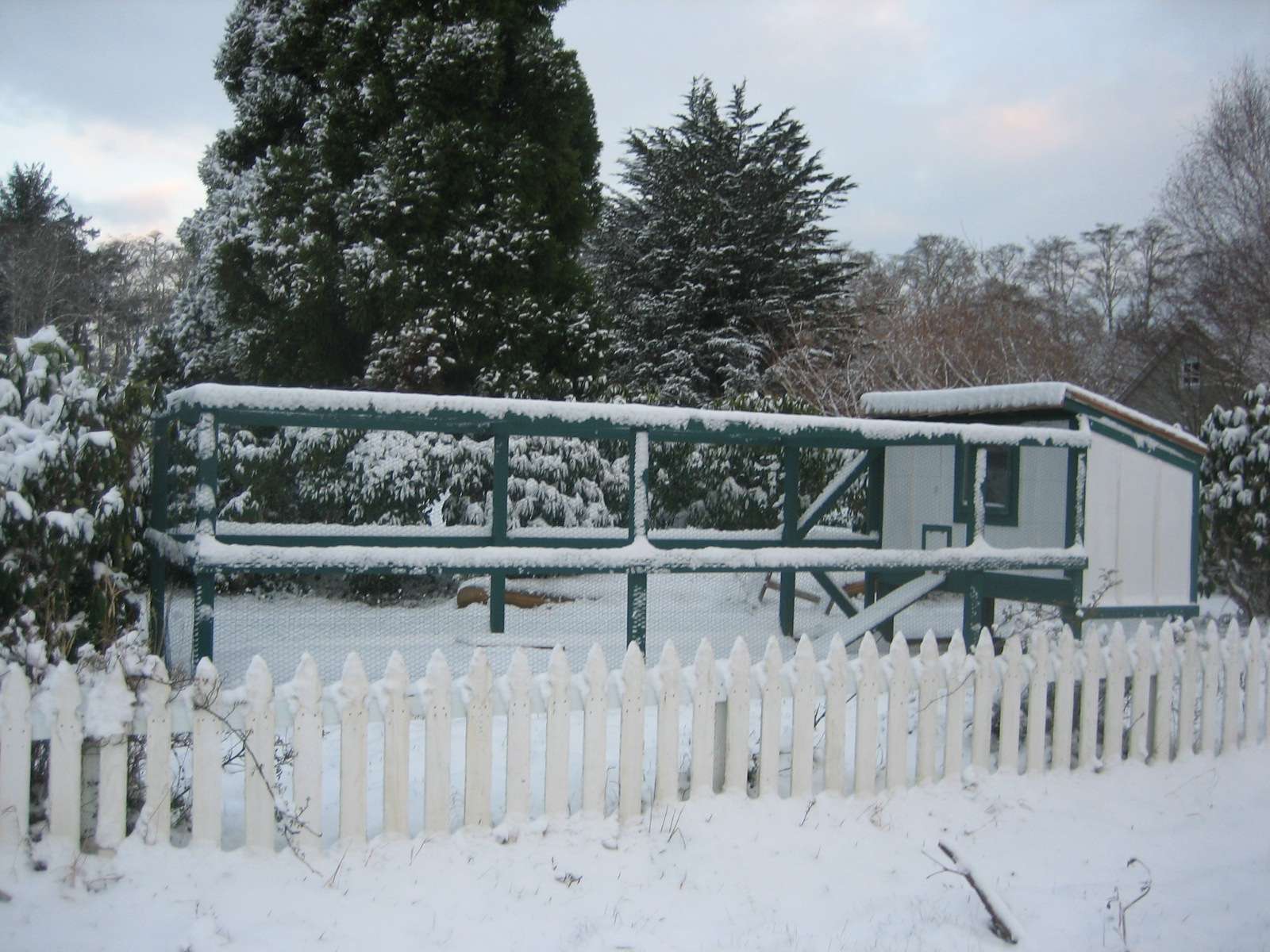 Chicken Coop