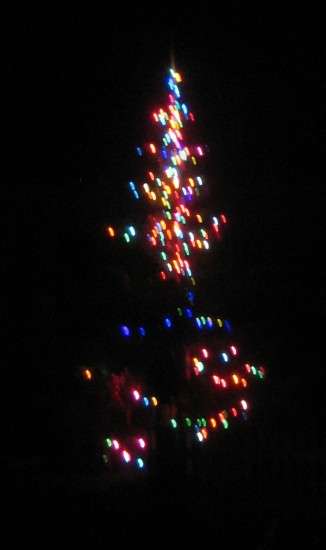 Christmas L...ts in Oysterville