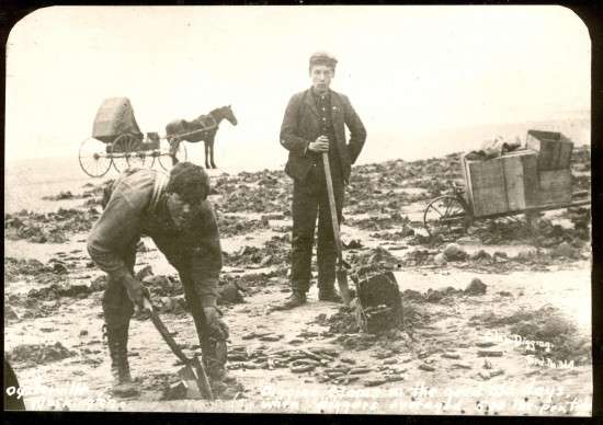 Clamming In The Good Old Days
