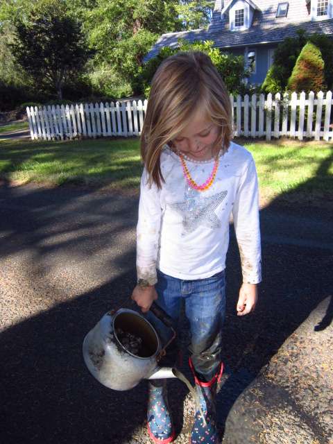 Clams in a Teakettle