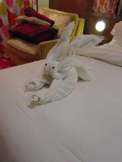 Rabbit