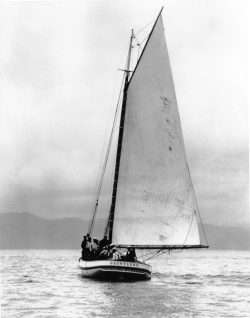 Dauntless Under Sail