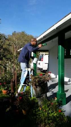 Finishing Touches