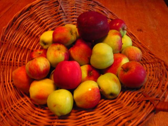 Early Apples