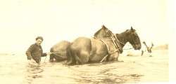 My Uncle Ed Espy Horse Seinging on the Columbia, 1924