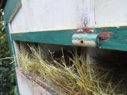 Empty Nest Boxes