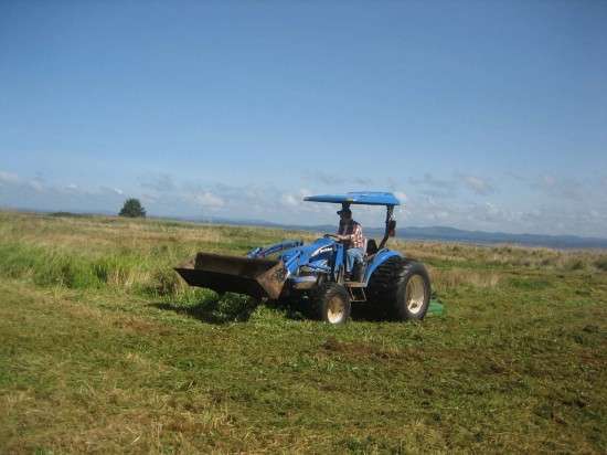 Fall Mowing Project
