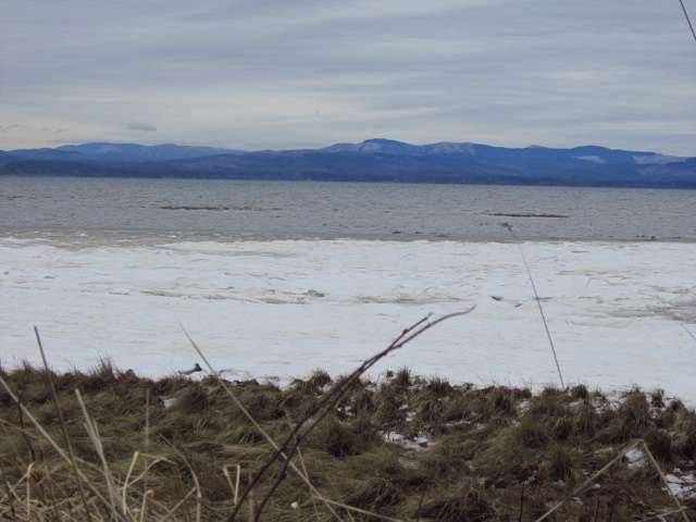 Freezing Bay