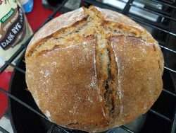 The nip of fall and the whiff of rye!
