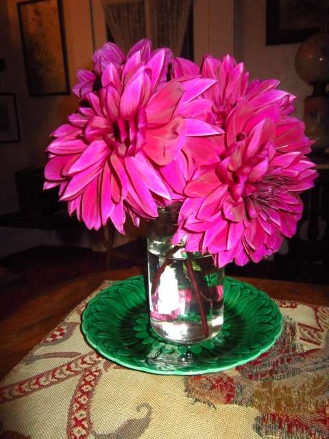 From Stephanie