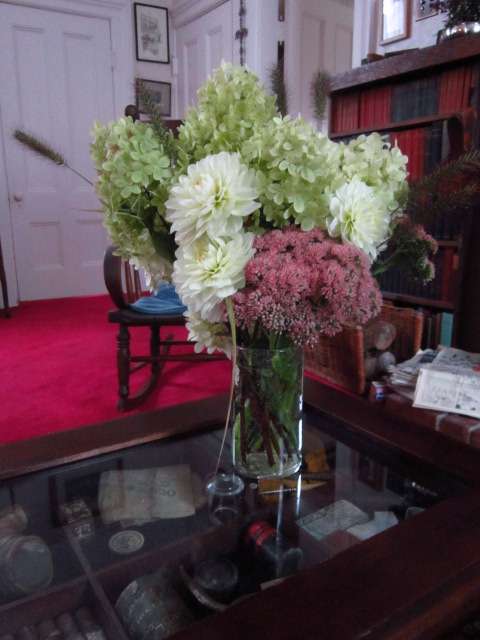 From Steve and Martie's Garden