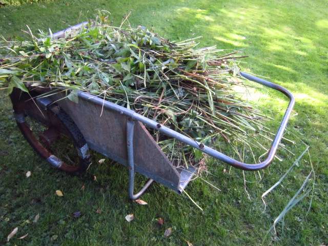 Full Cart
