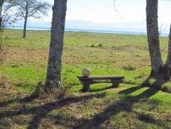 Ghost Pumpkin on the Meadow Bench