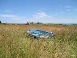 High and Dry