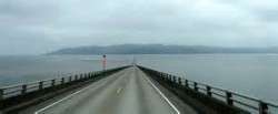 Homeward Bound