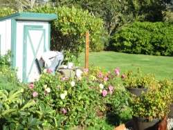 Tool Shed Repairs