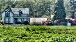 Our House 4/28/15 by the SunWishers