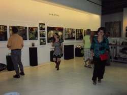 Layne Cook's Show