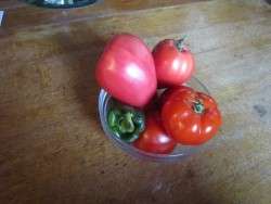 Six Tomatoes and A Pepper