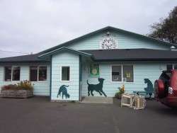 The Animal Shelter