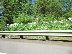 May 8th Along Highway 30