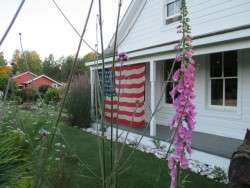 Patriotism, Oysterville Style