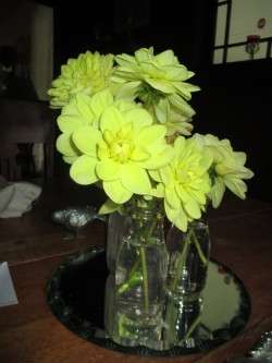 Milk Bottle Vases